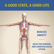 Gold Harvest CBD Pain Relief Cream 1000mg , 8 oz - RMS PRODUCTS