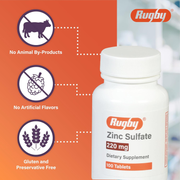 Rugby Zinc Sulfate 220 mg – 100 Tablets | Immune Support & Mineral Supplement for Overall Health - RMS PRODUCTS